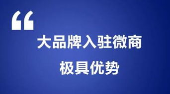 阿土伯網(wǎng)專業(yè)信息技術(shù)咨詢服務(wù)在長(zhǎng)沙岳麓區(qū)熱賣促銷